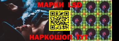 спиды Обь