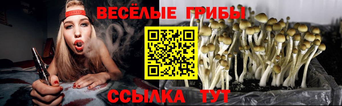Галлюциногенные грибы Cubensis  Вход с VPN  Спасск-Дальний  Псилоцибиновые грибы Psilocybe 