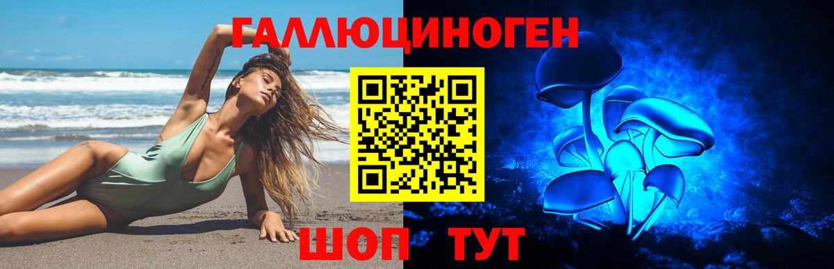 APVP Спасск-Дальний